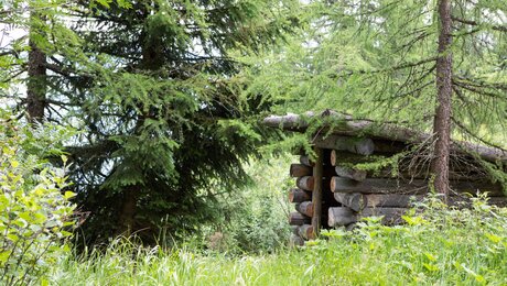 Wandern in der Fisser Gonde in Serfaus-Fiss-Ladis in Tirol Österreich Wanderurlaub Familie Sommer Berge | © Serfaus-Fiss-Ladis Marketing GmbH