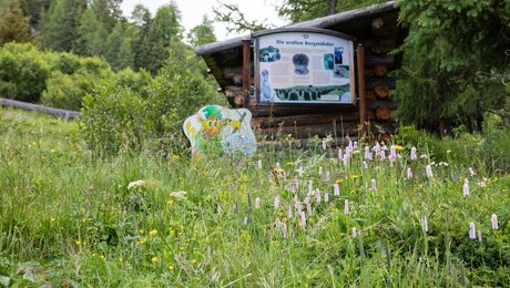 Informationen über das Naturdenkmal Fisser Gonde findet man am Wanderweg auf den Infotafeln | © Serfaus-Fiss-Ladis Marketing GmbH