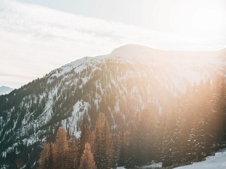 Winterwanderwege in Serfaus-Fiss-Ladis Panorama-Genussweg | © sommertage.com