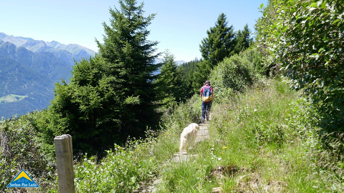 Wanderung durch den Wald in Serfaus-Fiss-Ladis in Tirol | © Serfaus-Fiss-Ladis Marketing GmbH