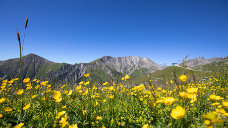 Erlebt einen einzigartigen Sommerulaub in den Bergen von Serfaus-Fiss-Ladis | © Serfaus-Fiss-Ladis Marketing GmbH | Andreas Kirschner