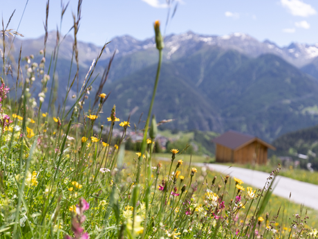 Erlebe die wunderschöne Natur von Serfaus-Fiss-Ladis in Tirol Österreich auch im Sommer | © Serfaus-Fiss-Ladis Marketing GmbH | Andreas Kirschner