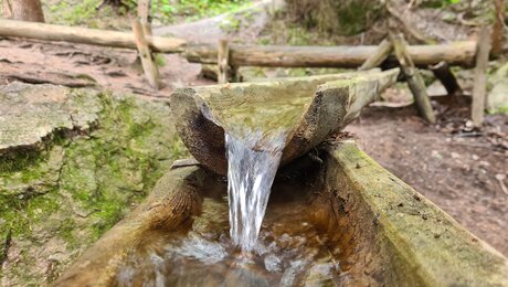 Alles rund ums Thema Wasser gibt es beim Wasserwandersteig in Ladis Tirol zu erleben und entdecken | © Serfaus-Fiss-Ladis Marketing GmbH 
