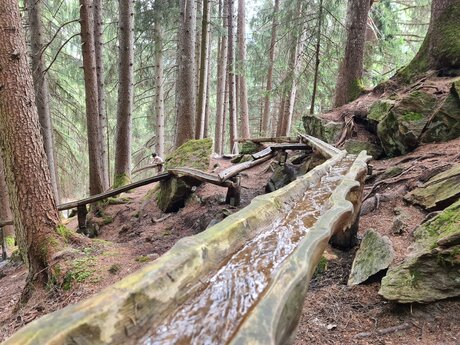 Ausgehölte Baumstämme beim Wasserwandersteig in Ladis in Tirol Wandern in Österreich | © Serfaus-Fiss-Ladis Marketing GmbH 