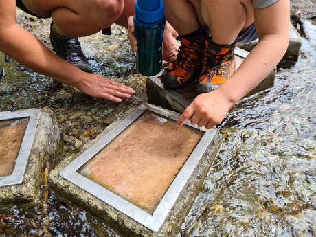 Fossilien beim Wasserwandersteig in Ladis Tirol | © Serfaus-Fiss-Ladis Marketing GmbH 