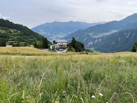 Schöne Landschaft, friedliche Alpakas in den Bergen von Serfaus-Fiss-Ladis in Tirol | © Serfaus-Fiss-Ladis Marketing GmbH