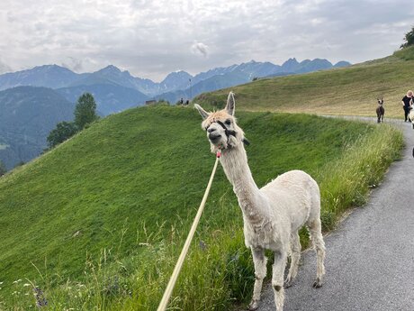 Eine Wanderung voller Faszination in den Tiroler Bergen von Serfaus-Fiss-Ladis in Österreich | © Serfaus-Fiss-Ladis Marketing GmbH