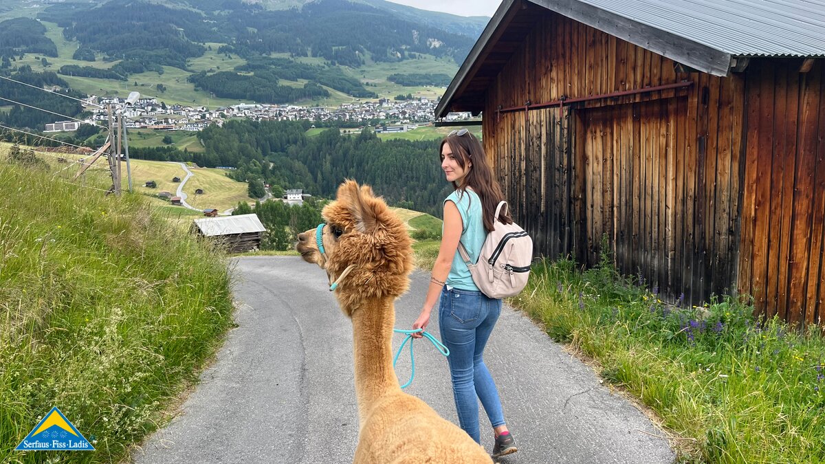 Alpakawanderungen: Eine besondere Verbindung zwischen Mensch und Tier | © Serfaus-Fiss-Ladis Marketing GmbH