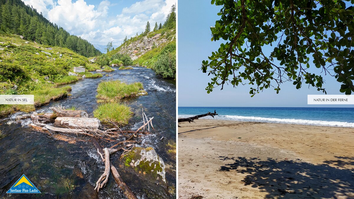 Grüne Wälder erwarten euch beim Familien Wander Urlaub in Serfaus-Fiss-Ladis in Tirol Österreich | © Serfaus-Fiss-Ladis Marketing GmbH