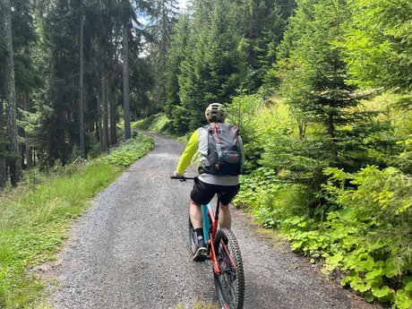 Mit dem Bike aktiv in Serfaus-Fiss-Ladis unterwegs | © Serfaus-Fiss-Ladis Marketing GmbH