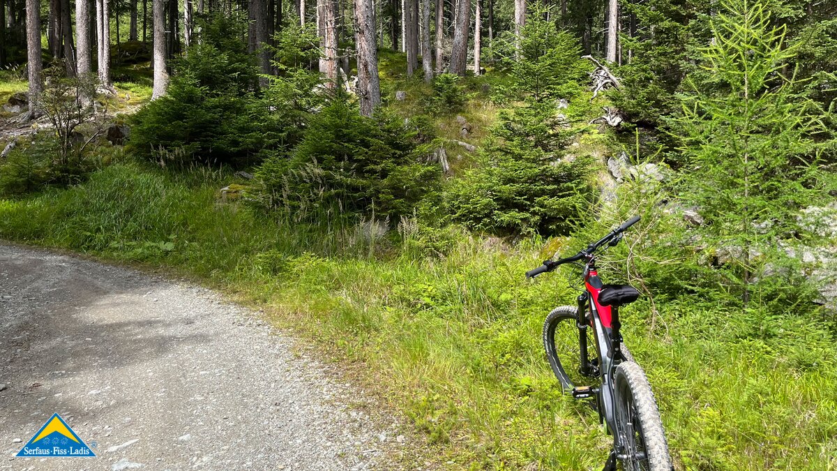 Rad fahren und Schwammerl suchen sind eine tolle Kombination | © Serfaus-Fiss-Ladis Marketing GmbH