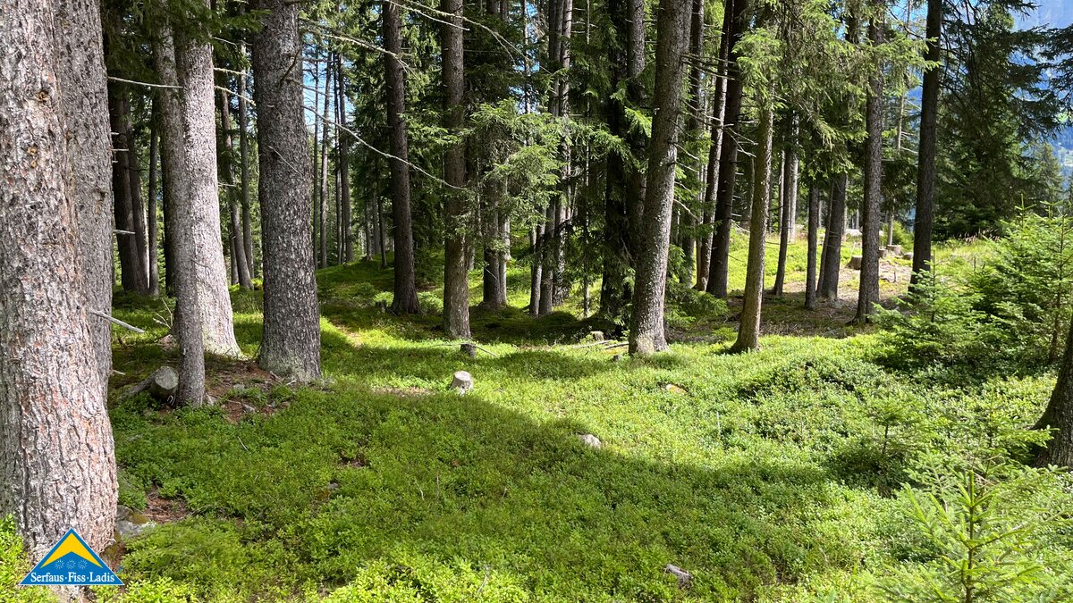 Erholung im Wald von Serfaus-Fiss-Ladis | © Serfaus-Fiss-Ladis Marketing GmbH