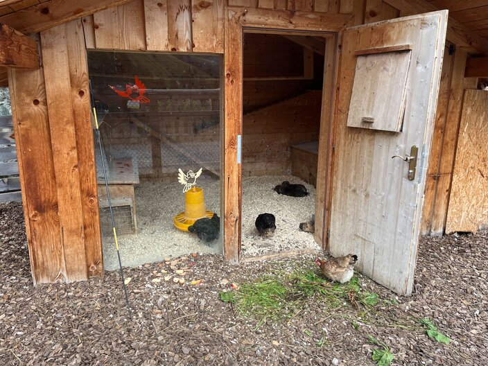 Neben Murmeltieren gibt es auch Hühner und Hasen im Murmliwasser in Serfaus zu bestaunen | © Serfaus-Fiss-Ladis Marketing GmbH