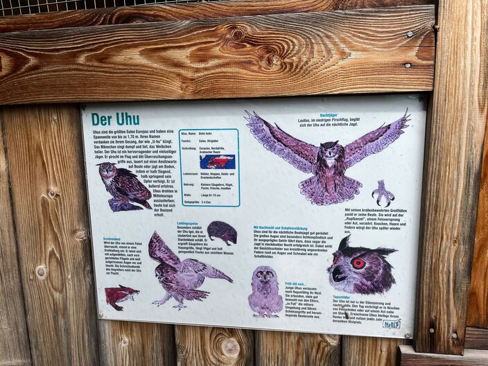 Wissensvermittlung und Naturschutz bei der Greifvogelstation an der Frommes Alp | © Serfaus-Fiss-Ladis Marketing GmbH