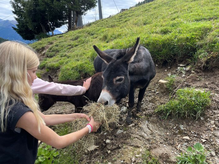 Esel dürfen im Streichelzoo an der Möseralm in Serfaus-Fiss-Ladis gefüttert werden | © Serfaus-Fiss-Ladis Marketing GmbH