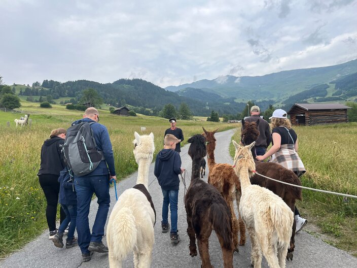 In den Bergen von Serfaus-Fiss-Ladis in Tirol kann man eine Alpakawanderung machen | © Serfaus-Fiss-Ladis Marketing GmbH
