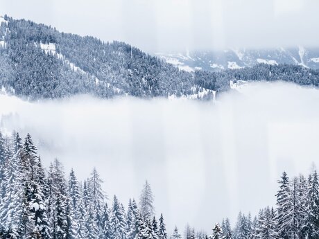 Verschneite Berge im Nebelmeer in Serfaus Fiss Ladis in Tirol | © Serfaus-Fiss-Ladis Marketing GmbH | Rene Raggl