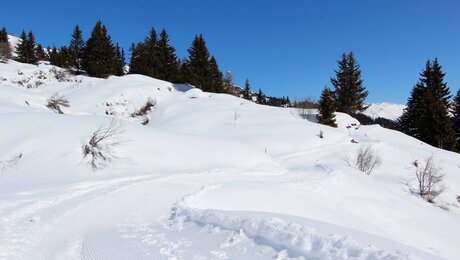 Winterwandern in den Bergen von Serfaus-Fiss-Ladis | © Serfaus-Fiss-Ladis Marketing GmbH