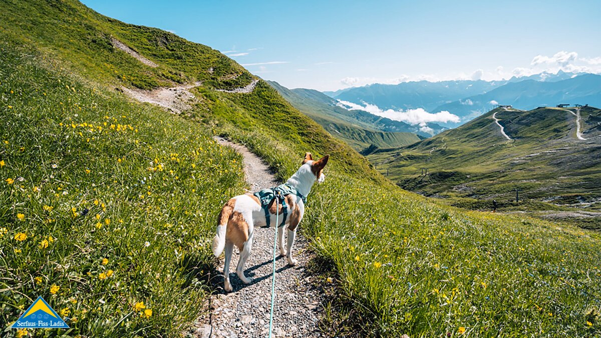 Naturgenuss mit deinem Vierbeiner in Serfaus-Fiss-Ladis | © Serfaus-Fiss-Ladis Marketing GmbH | wolkenweit