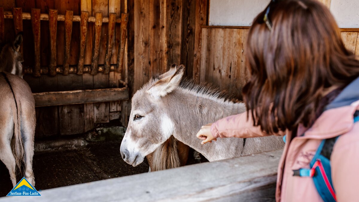 Streichelzoo auf der Schöngampalm Fiss | © Serfaus-Fiss-Ladis Marketing GmbH | Rene Raggl