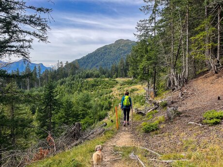 Wanderweg mit Fernsicht in Tirol | © Serfaus-Fiss-Ladis Marketing GmbH
