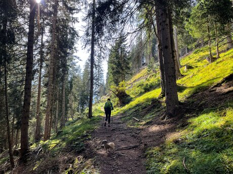 Der Komperdellmarsch führt auf schmalen, naturnahen Pfaden durch den Wald. | © Serfaus-Fiss-Ladis Marketing GmbH