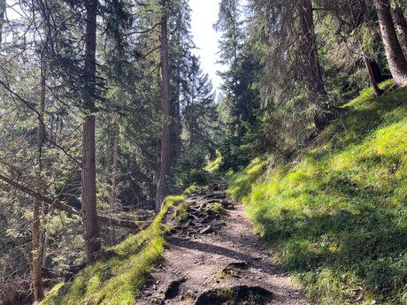 Sonnenlicht auf dem Waldpfad in Tirol | © Serfaus-Fiss-Ladis Marketing GmbH