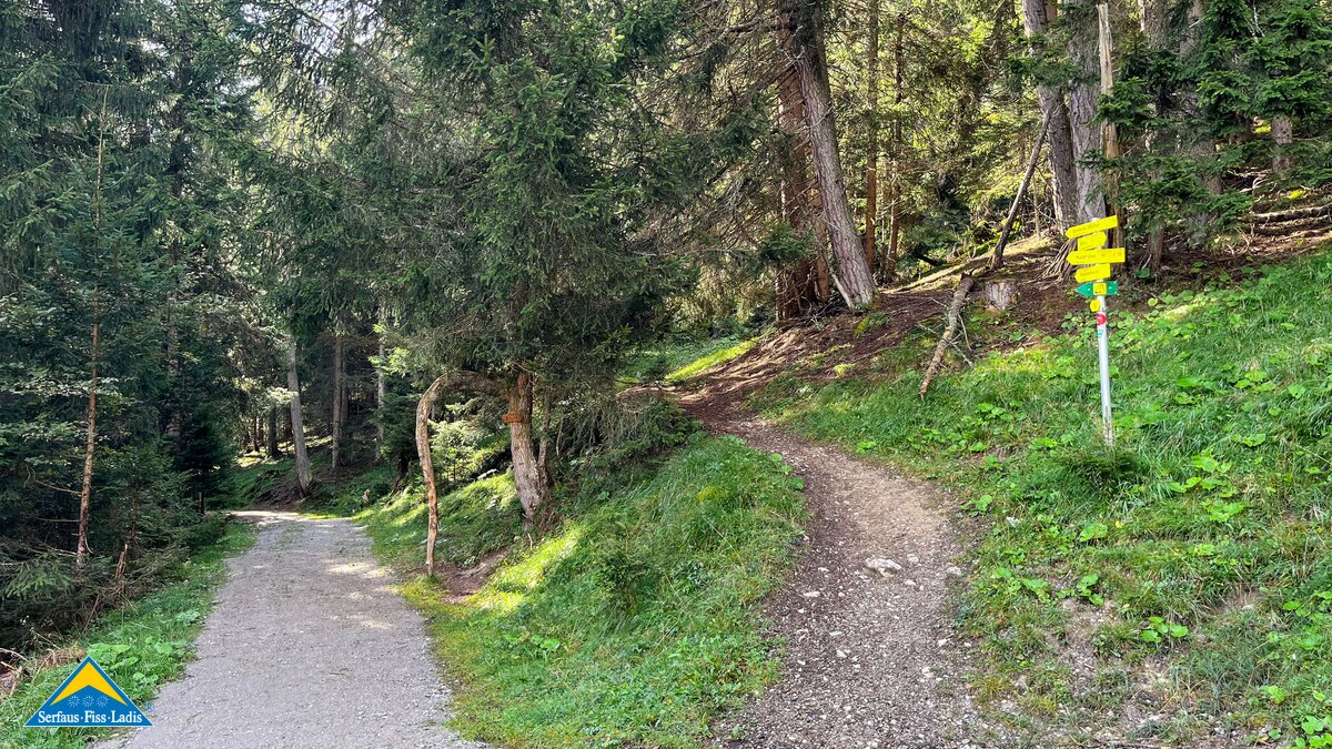 Der schmale Pfad beginnt am Anfang vom Wald | © Serfaus-Fiss-Ladis Marketing GmbH