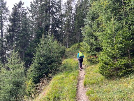 Der Weg schlängelt sich sanft nach oben | © Serfaus-Fiss-Ladis Marketing GmbH