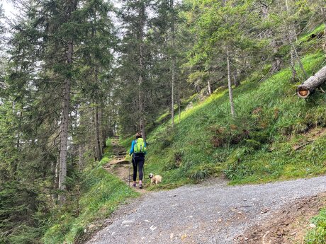 Ein schmaler Pfad zweigt vom Hauptweg ab | © Serfaus-Fiss-Ladis Marketing GmbH