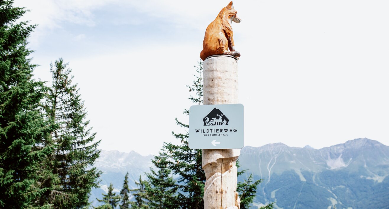 Erste Augmented Reality Themenweg in Tirol | © Serfaus-Fiss-Ladis Marketing GmbH | Rene Raggl