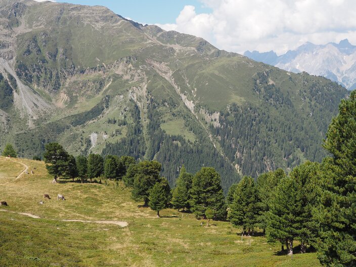 © Serfaus-Fiss-Ladis Marketing GmbH