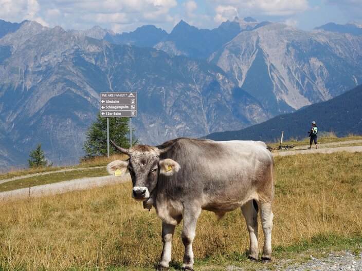 © Serfaus-Fiss-Ladis Marketing GmbH