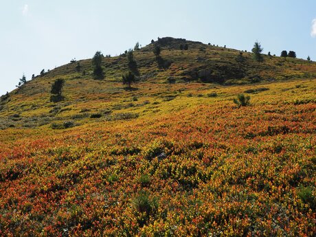 © Serfaus-Fiss-Ladis Marketing GmbH