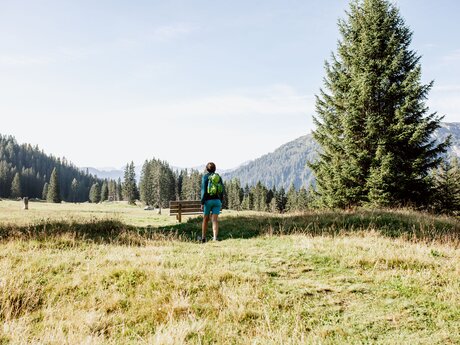 Aussicht Außer Hoeg | © Serfaus-Fiss-Ladis Marketing GmbH | Rene Raggl