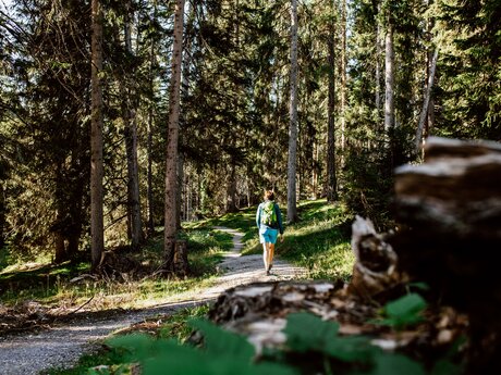 Gemütliche Wanderung durch den Wald | © Serfaus-Fiss-Ladis Marketing GmbH | Rene Raggl