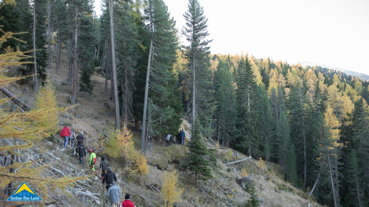 Das Blochbaum holen für das Fisser Blochziehen 2018 in Tirol | © Andreas Kirschner