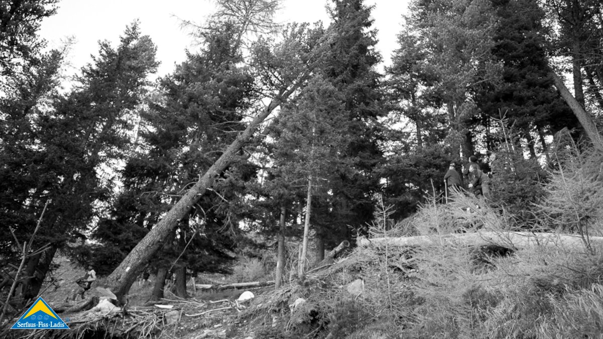 Das Blochbaum holen für das Fisser Blochziehen 2018 in Tirol | © Andreas Kirschner