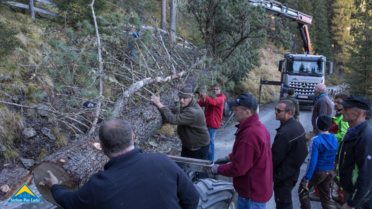 Das Blochbaum holen für das Fisser Blochziehen 2018 in Tirol | © Andreas Kirschner