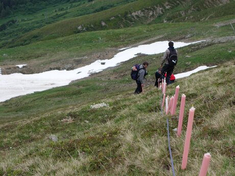 Herz Jesu Feuer in Serfaus-Fiss-Ladis Tirol | © Serfaus-Fiss-Ladis
