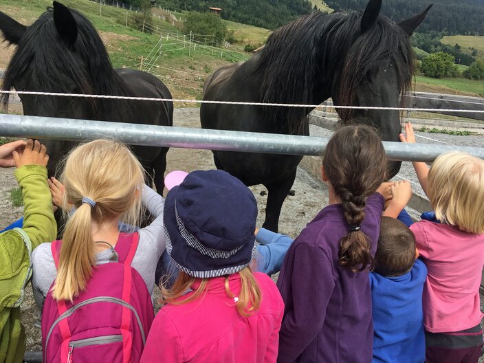 Auch Pferde durften am Bauernhof gestreichelt werden | © Serfaus-Fiss-Ladis