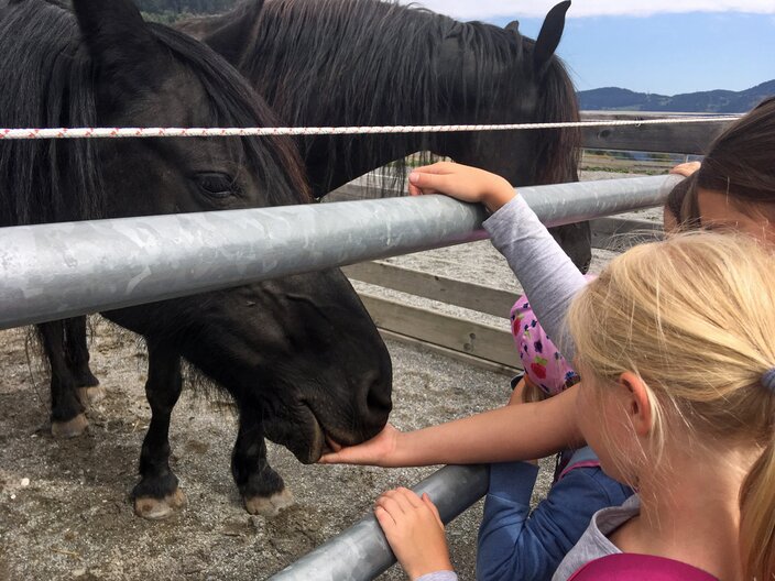 Die Pferde am Bauernhof in Serfaus-Fiss-Ladis durften von den Kindern gefüttert werden | © Serfaus-Fiss-Ladis
