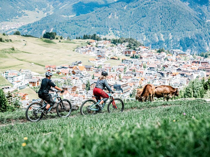 Respekt auf den Biketrails Weidetiere Kühe Wanderer Interview Andi Marth Blogartikel Serfaus-Fiss-Ladis Tirol | © Serfaus-Fiss-Ladis Marketing GmbH | Richard Bos