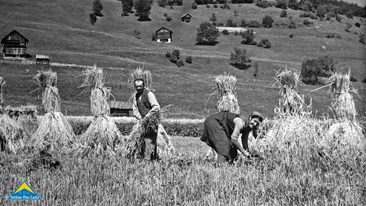 Altes Foto Getreide schneiden Bauern auf dem Feld Landwirtschaft am Berg Serfaus-Fiss-Ladis in Tirol | © Gemeindearchiv Fiss