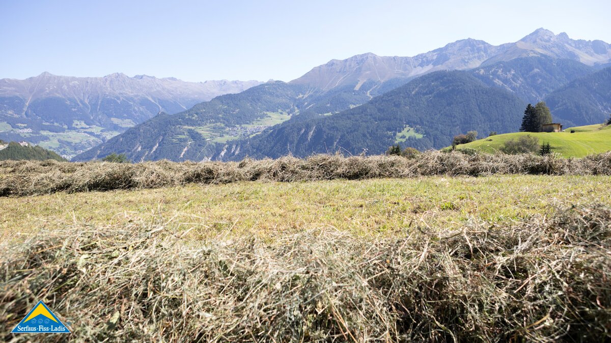 Getrocknetes Heu auf einer Wiese in Serfaus-Fiss-Ladis mit Blick auf andere Talseite | © Serfaus-Fiss-Ladis Marketing GmbH | Andreas Kirschner