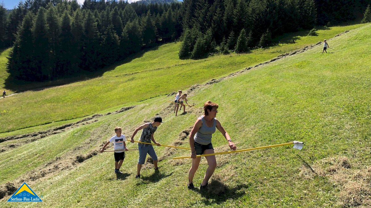 Bauern bei der Heuernte auf einer steilen Bergwiese in Serfaus-Fiss-Ladis in Tirol | © Thomas Kirschner