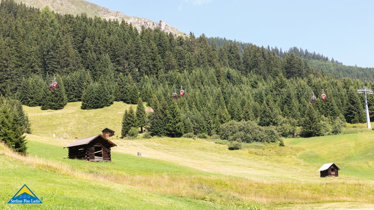 Bewirtschaftete Wiese mit Bergbahn im Hintergrund Wanderregion Serfaus-Fiss-Ladis in Tirol | © Serfaus-Fiss-Ladis Marketing GmbH | Andreas Kirschner