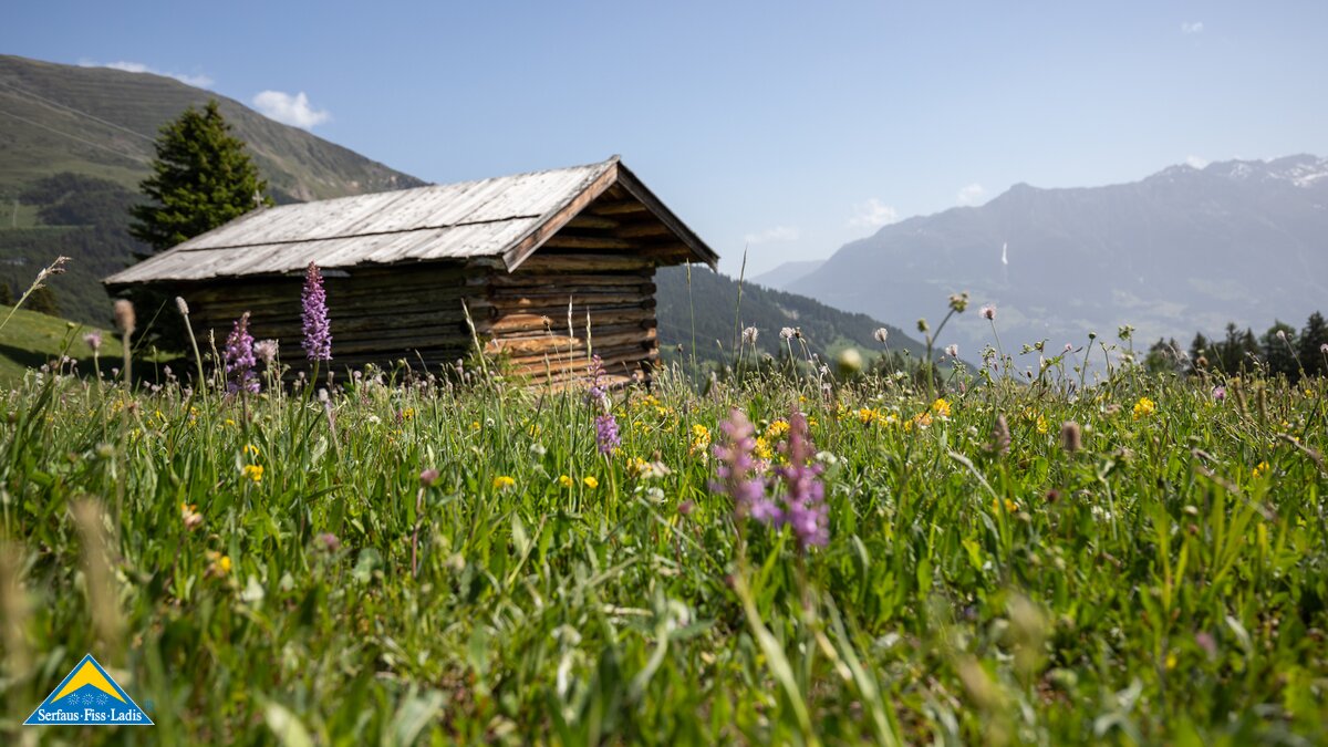Bunte Blumenwiese mit Heustadel in der Familienregion Serfaus-Fiss-Ladis in Tirol | © Serfaus-Fiss-Ladis Marketing GmbH | Andreas Kirschner