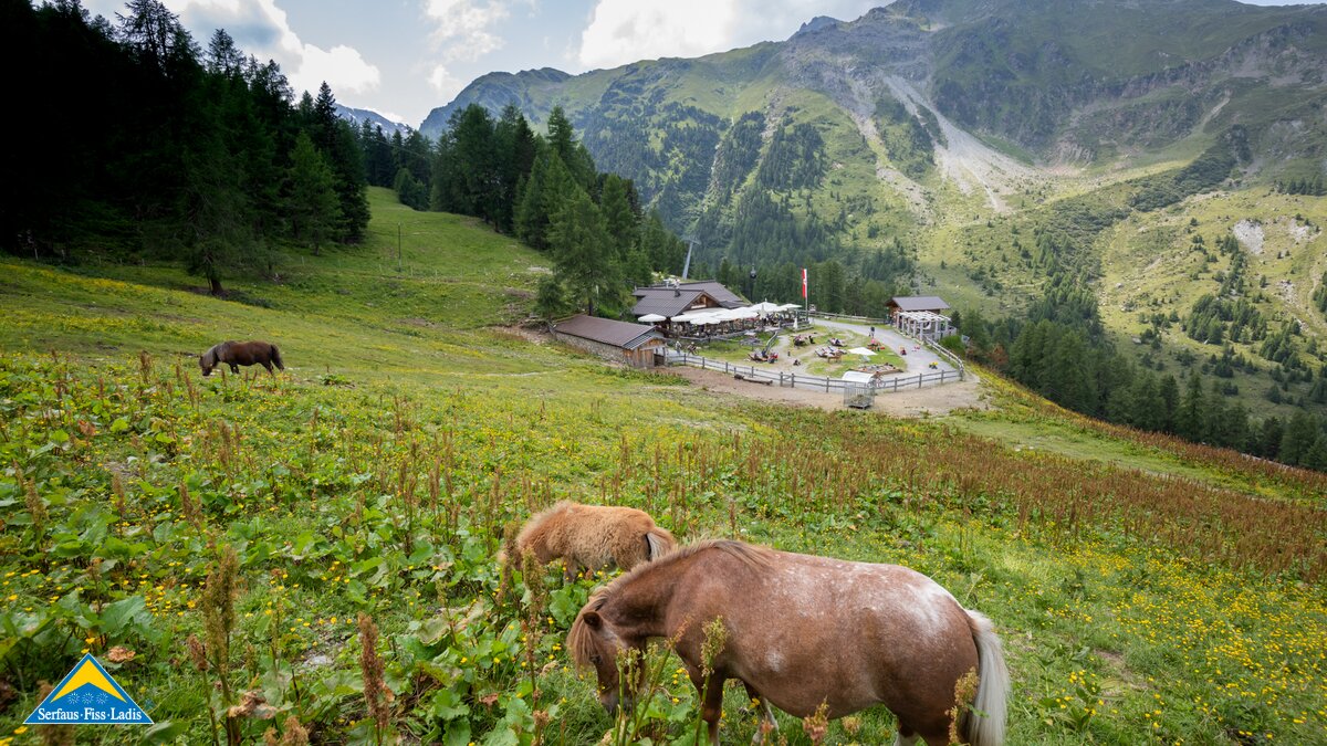 Pferde auf der Alm Bergrestaurant Schöngampalm auf der Fisser Nordseite in Serfaus-Fiss-Ladis | © Serfaus-Fiss-Ladis Marketing GmbH | Andreas Kirschner