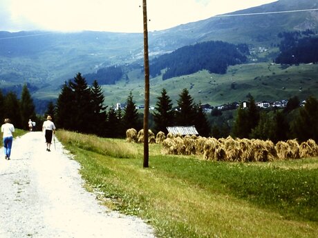 Heutrocknung Heumännchen Tirol Wanderer entlang von Wiesen Serfaus-Fiss-Ladis  | © Joep Langen